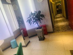 点击看大图 -PE SALON