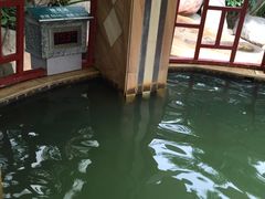 -江门古兜温泉小镇