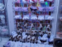 -可爱抓 COCO  GOTCHA(天津鹏欣水游城店)