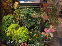 -狐狸家·酸奶酪专门店(平江路店)