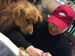 -313羊庄·羊肉火锅烧烤(李村店)