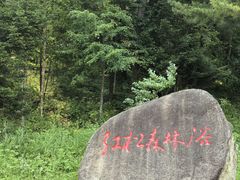 -五营国家森林公园