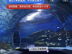 -海合安武汉极地海洋公园