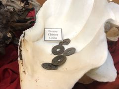 -北马里亚纳群岛博物馆