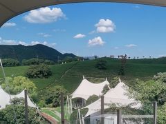 -帐篷客·溪龙茶谷度假酒店