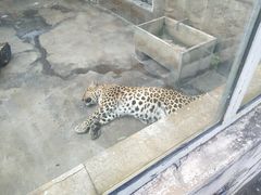 -西安秦岭野生动物园