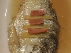 清蒸鲥鱼-新镇江酒家(南京西路店)