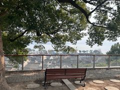 -东钱湖旅游度假区