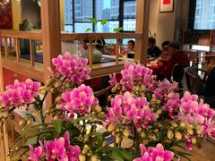 -静颐茶馆·素食(龙华店)