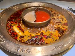 -哥老官重庆美蛙鱼头(松江地中海十八哥店)