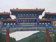 -塞罕坝国家级自然保护区