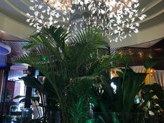 -润园四季椰子鸡火锅(海上世界店)