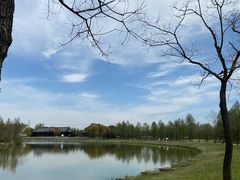 -宁波杭州湾国家湿地公园