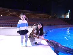 -哈尔滨波塞冬海底世界