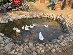 -HERRE·FARM 赫尔露营农场·团建聚会包场