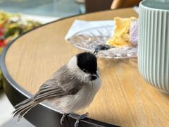 -花韵丁香酒店(北京南站牛街店)