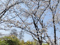 -堤角公园