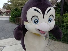 -珠海长隆海洋王国