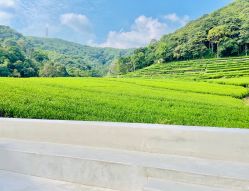 -静博士·养生养颜