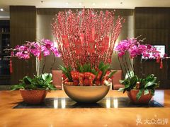 -上海西藏大厦万怡自助餐厅(徐汇店)