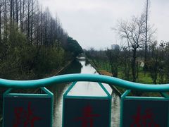 -上海长兴岛郊野公园