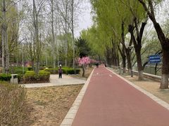 -南长河公园