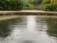 -大连金石滩绿发温泉假日酒店