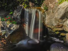 -维乐口腔医院(福清院)