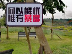 -紫颐香薰山谷景区