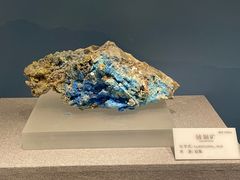 -贵州省地质博物馆