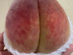 -老袁家蜜桃农场·阳山水蜜桃