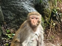 -黔灵山公园