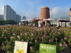 -玫瑰海岸文化旅游度假区
