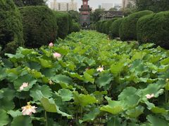 -四川大学(华西校区)