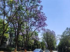 -大理实力希尔顿酒店•御玺中餐厅