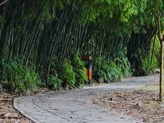 -花溪公园