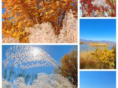 -野鸭湖国家湿地公园