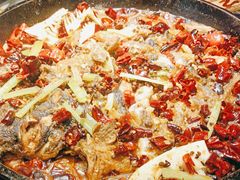 -老板恋上鱼(恒隆广场店)