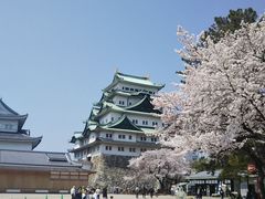 -名古屋城