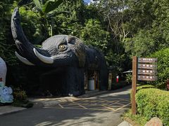 -野象谷景区