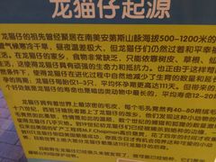 -龙猫仔乐园(惠福东路店)