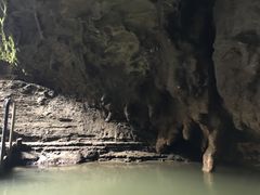 -怀托摩萤火虫洞