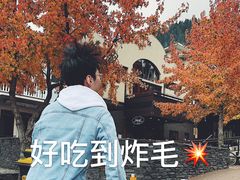 -Fergburger(皇后镇店)