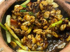 -天宝食坊·啫啫煲大排档(西华路店)