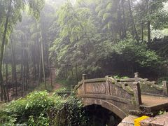 -莫干山风景区