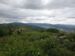 -长虫山生态公园风景林