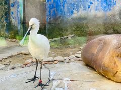 -杭州野生动物世界