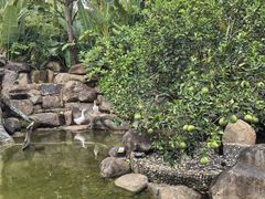-西双版纳洲际度假酒店-曼霖轩中餐厅