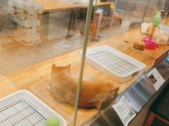 -狗道宠物(常熟印象城店)