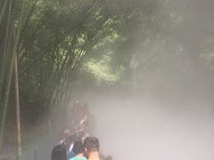 -川西竹海景区
